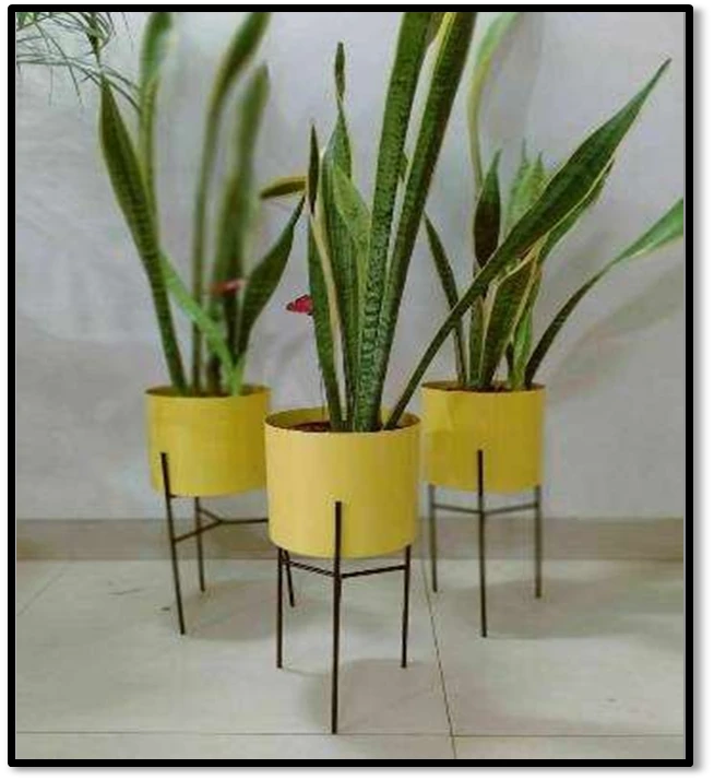 Modern Yellow Planter Set with Metal Stands
