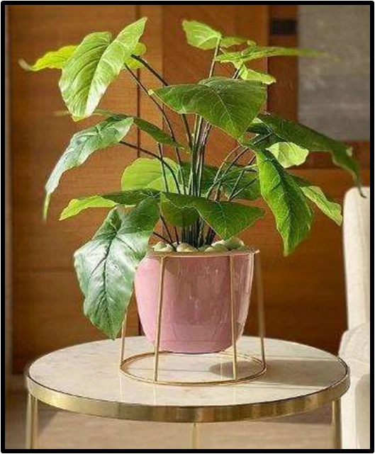 Blush Pink Ceramic Planter with Gold Stand & Faux Arrowhead Plant