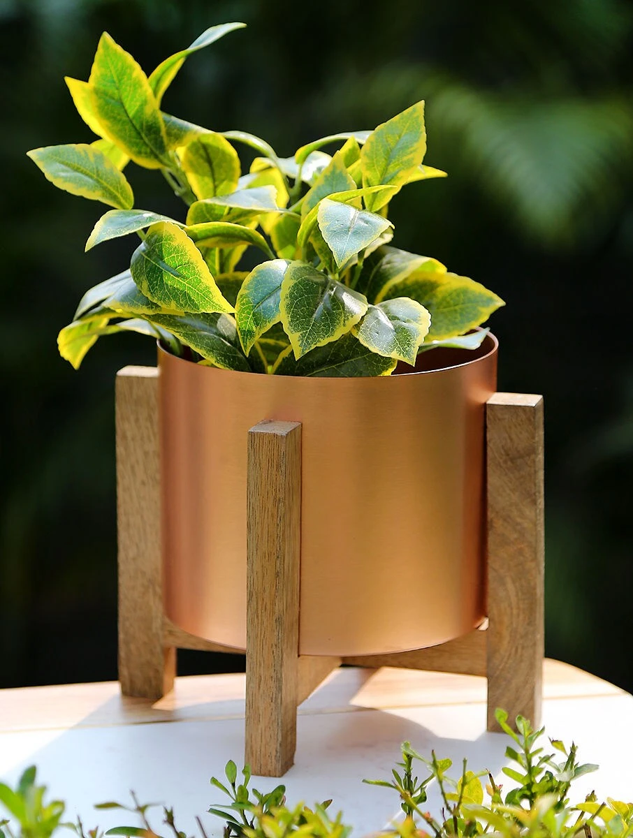 Elegant Iron Planter with Wooden Stand