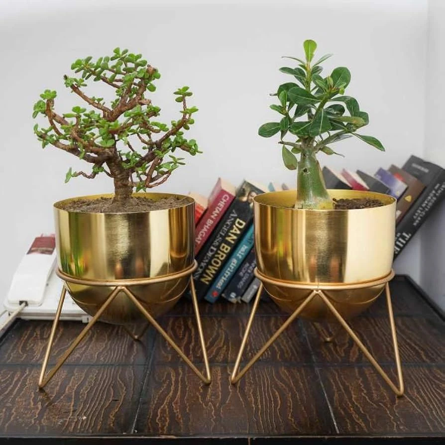 Elegant Golden Iron Planters with Stand – Modern Indoor Decorative Pots (Set of 2)