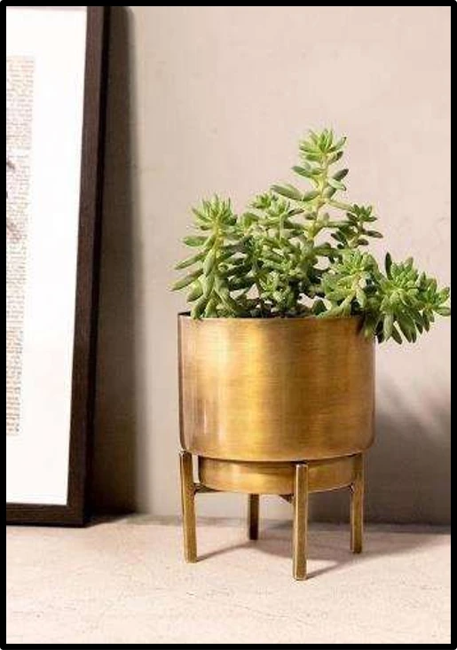 Golden Iron Planter with Stand – Elegant Indoor Succulent Pot