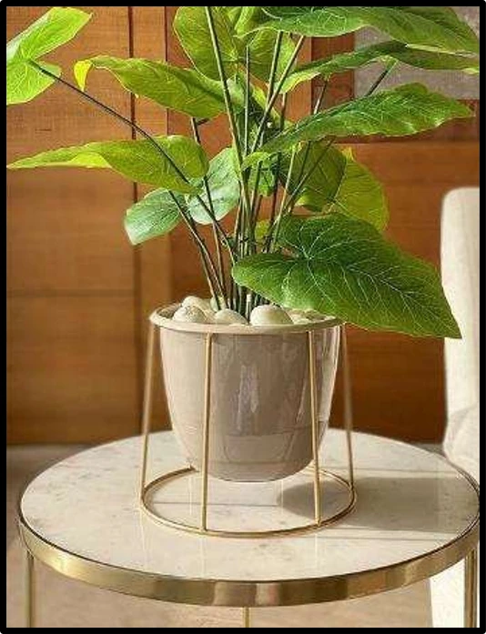 Iron Planter Stan with Pot with Golden Stand - Image 2