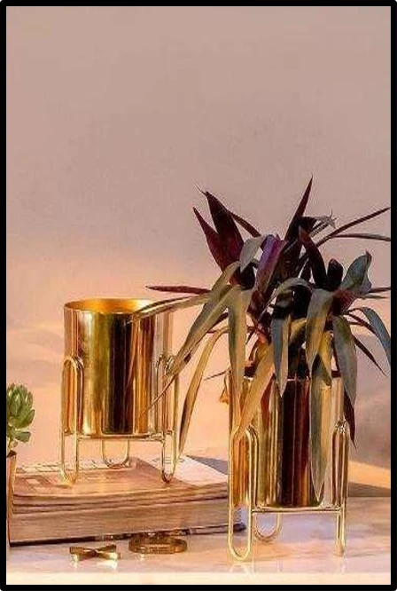 Luxury Golden Iron Planter with Stand – Set of 2