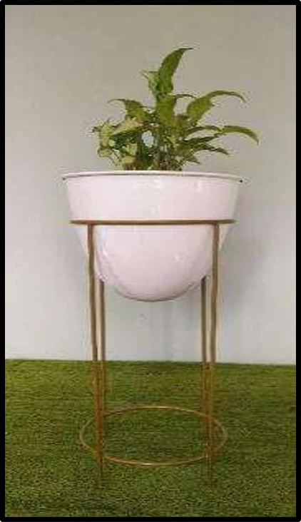 Elegant White iron Planter with Golden Stand