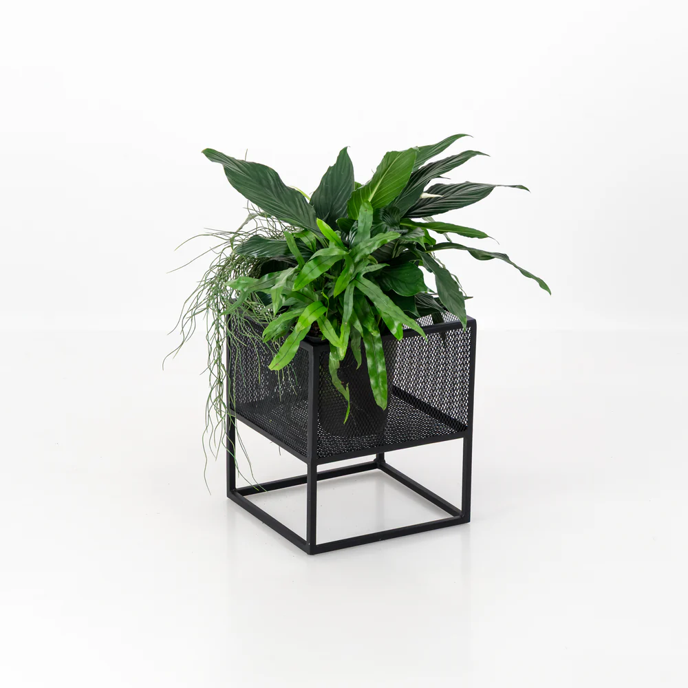 Modern Black Iron Planter Stand Set – Textured Mesh Design (3 Sizes) - Image 4