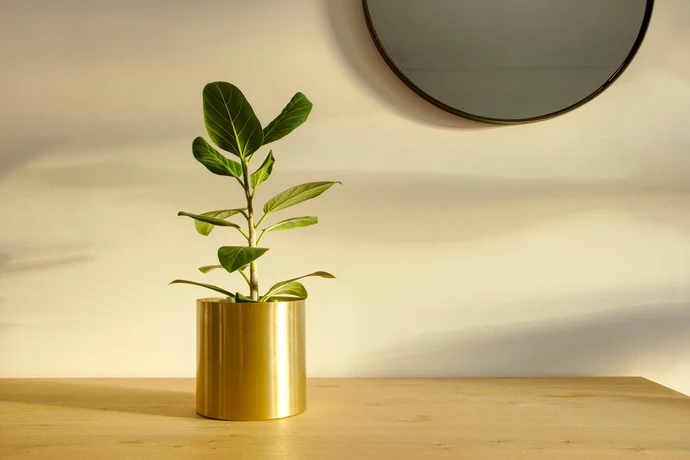 Gold Iron Planter Pot – Modern Indoor Plant Pot for Home & Office Décor