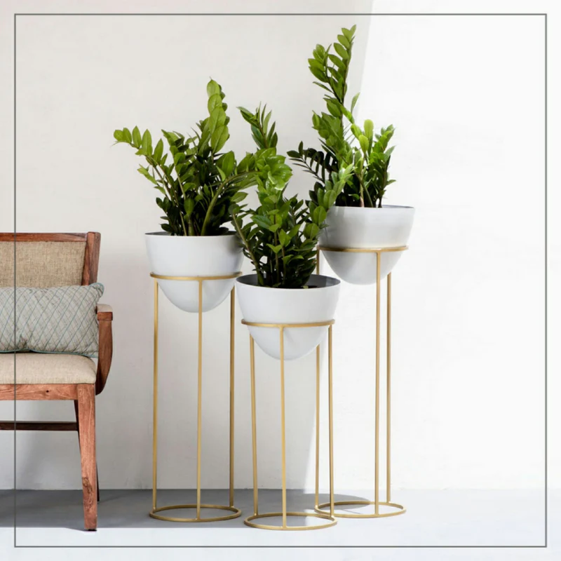 Modern Gold Iron Plant Stand with White Planter Pots (Set of 3)