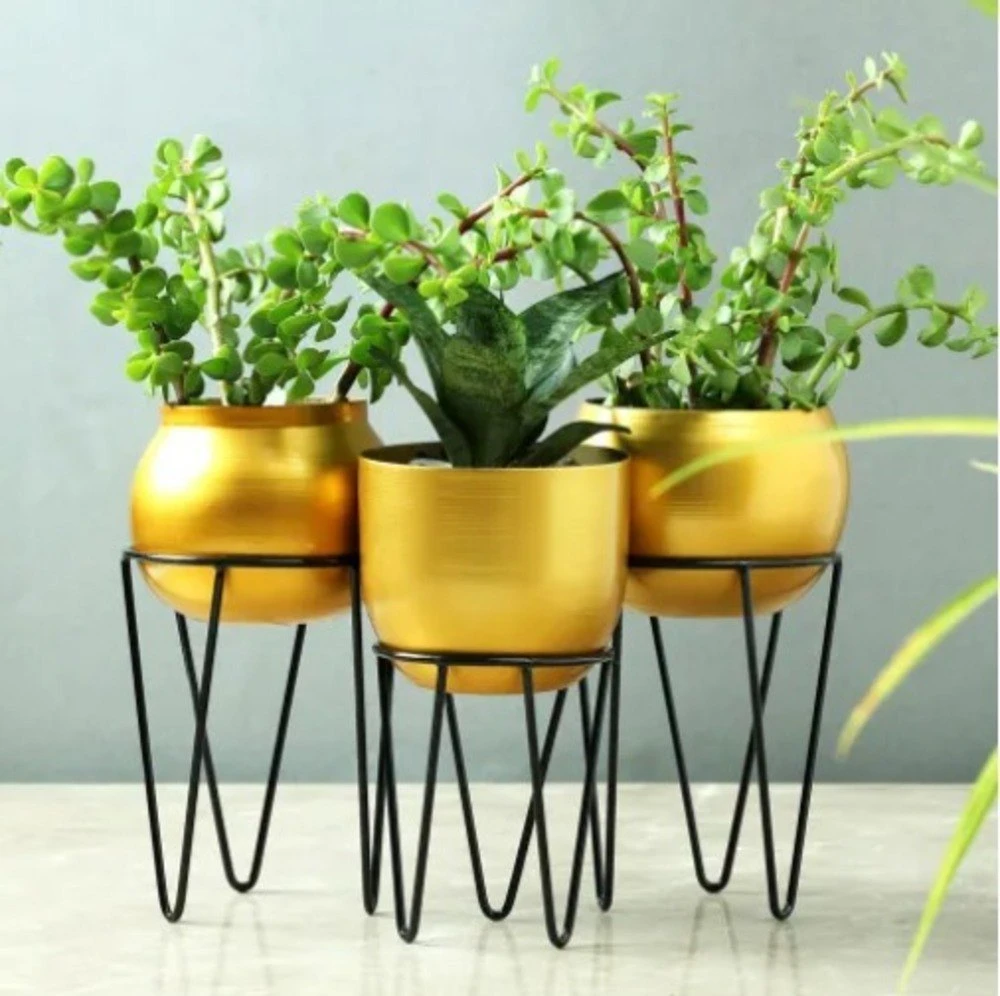 Golden Iron Planter Set with Stand – Modern Indoor Decorative Pots (Set of 3)